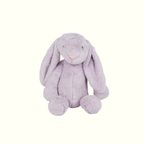 Personalized Easter Bunnies