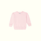 Baby / Toddler Peter Rabbit Sweatshirt