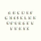 Baby / Toddler Peter Rabbit Sweatshirt